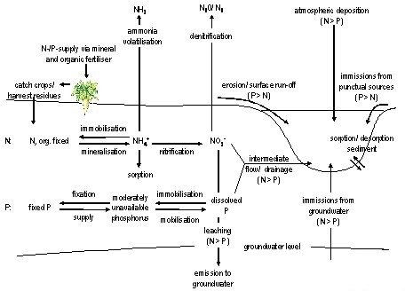 nutrients_surface_waters.jpg